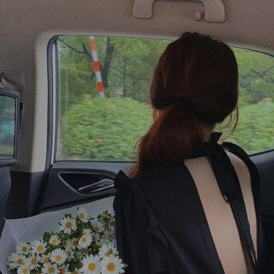 多龙芝